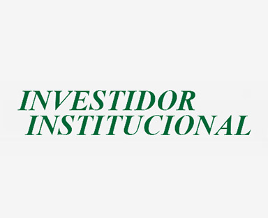 Investidor Institucional